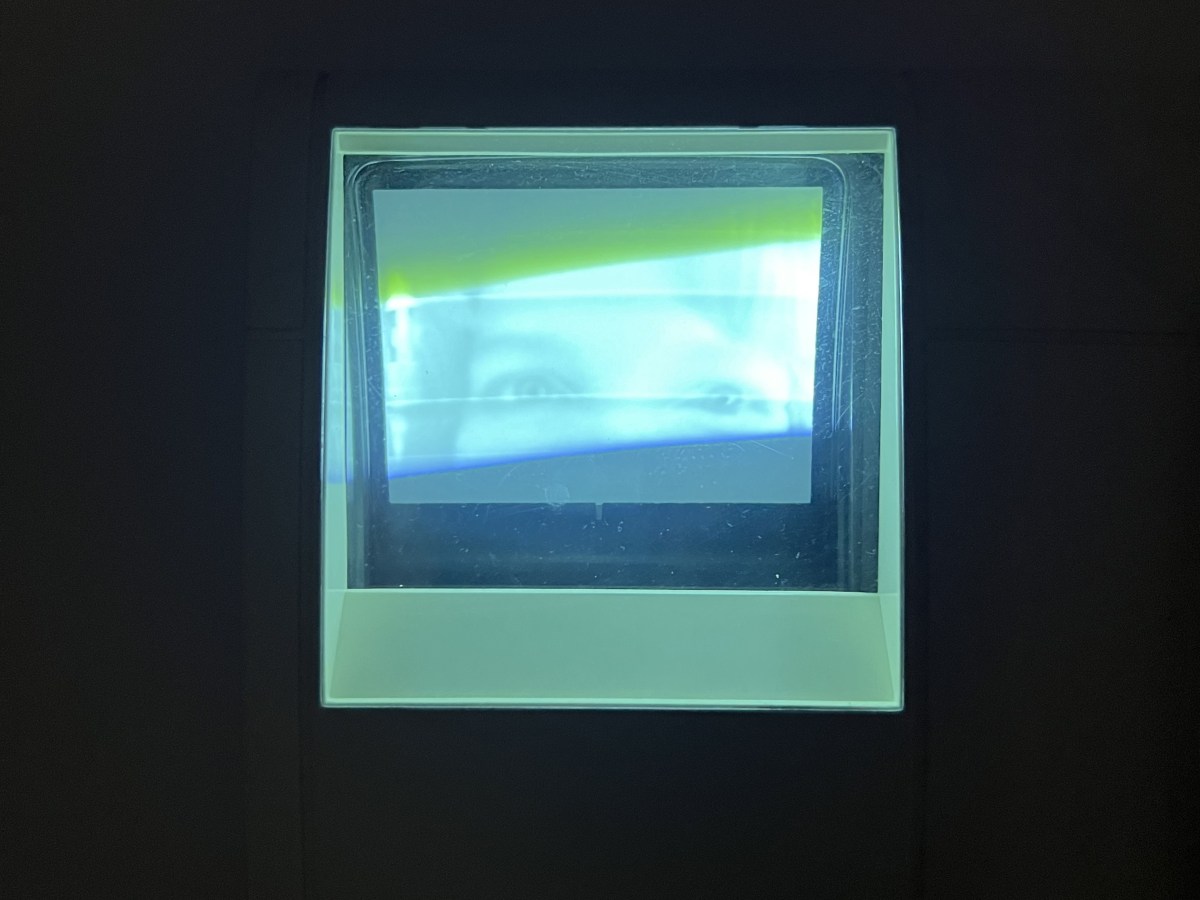 Teenage Dream: Friendship’s Enduring&nbsp;Love