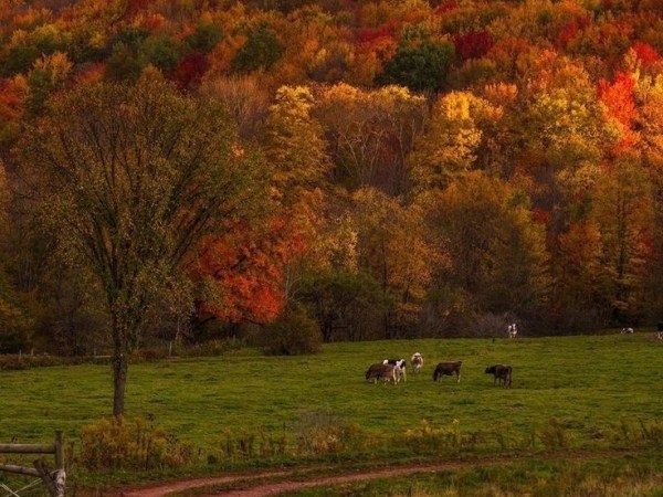 Embracing Change: The Art of Embracing the Inevitable Process of&nbsp;Life